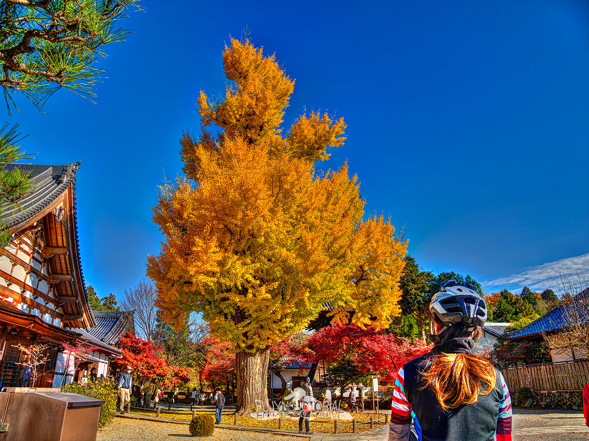 b0135347_234688.jpg