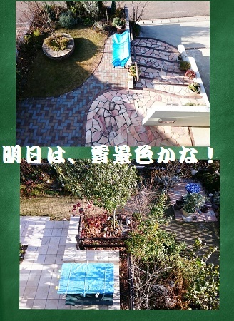 d0306248_19385000.jpg