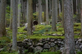 b0193754_222457.jpg