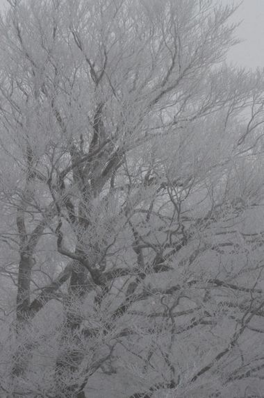 c0294658_22002435.jpg