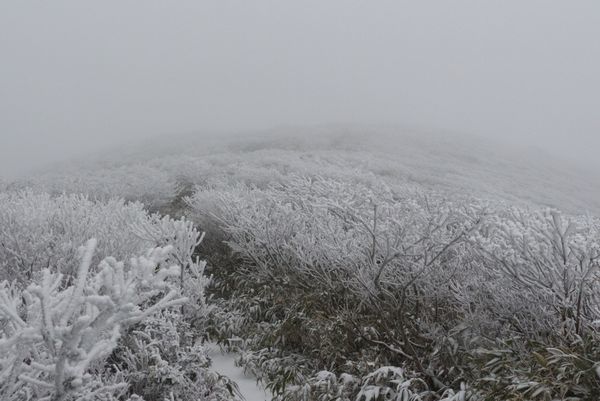 c0294658_22453408.jpg