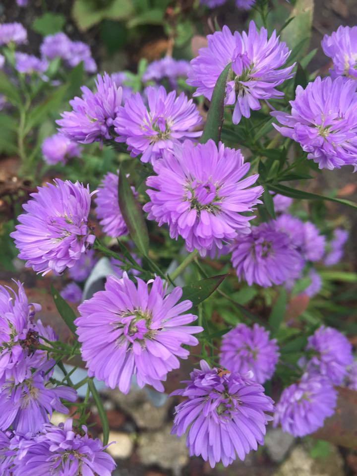 c0115560_09543172.jpg