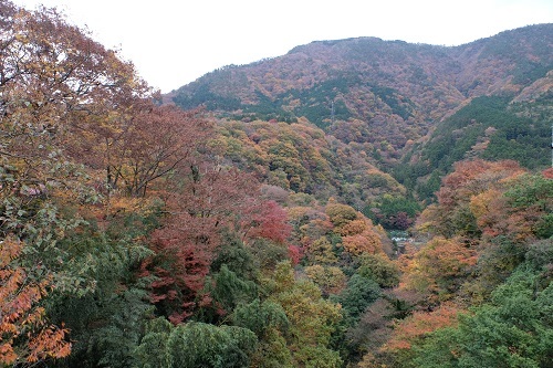 e0225164_15412930.jpg