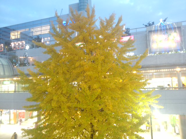 f0061067_17284830.jpg