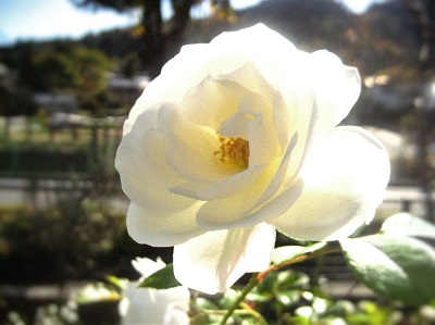 c0289473_1021159.jpg