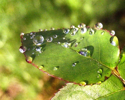 c0289473_10213481.jpg