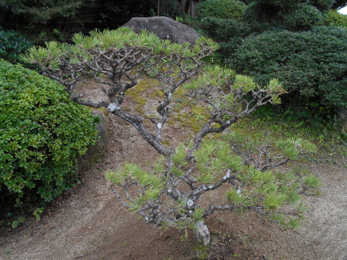 c0329378_16540786.jpg