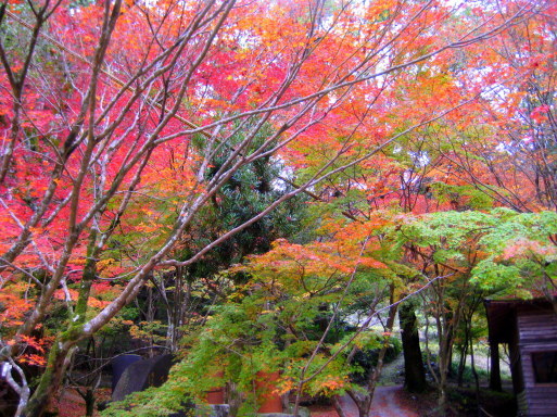 c0221281_14040388.jpg