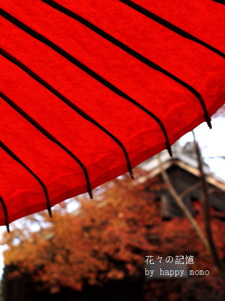 c0357781_11171259.jpg