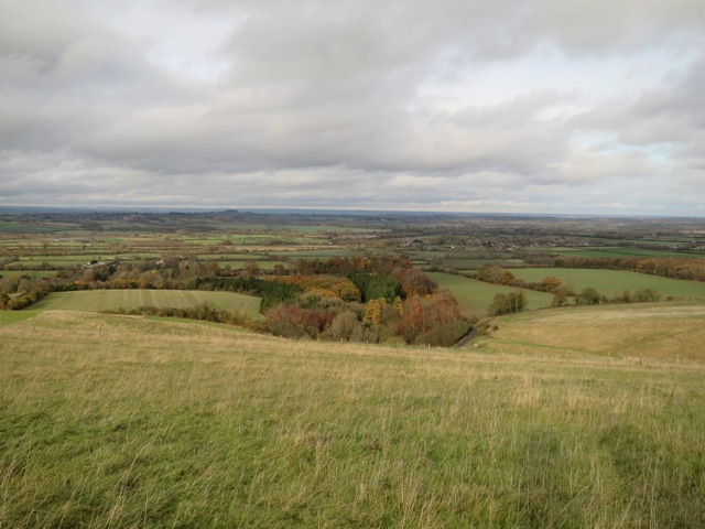 a0208783_20394469.jpg