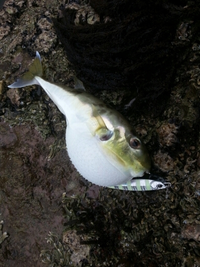 f0183484_15024018.jpg
