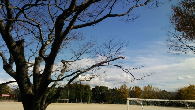 a0292989_20434447.jpg