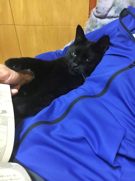 c0011300_22400670.jpeg