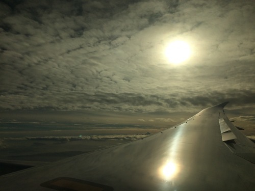 f0169800_02070319.jpg