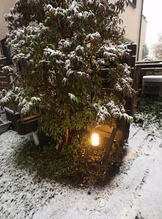 c0039501_09314754.jpg