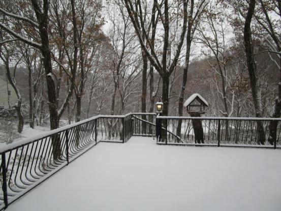 f0064906_176236.jpg