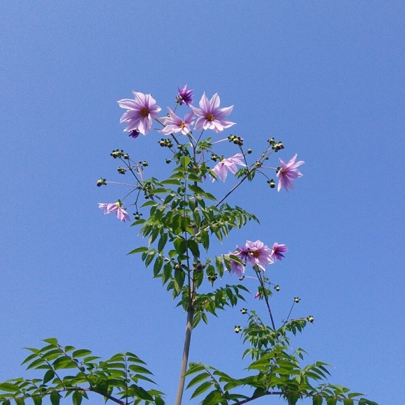 b0307008_20124919.jpg
