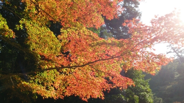 c0016208_09241877.jpg