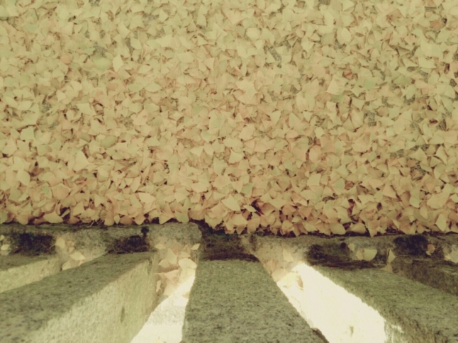 c0016208_09242349.jpg