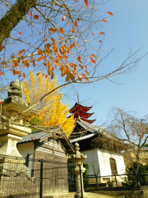 c0016208_09242862.jpg
