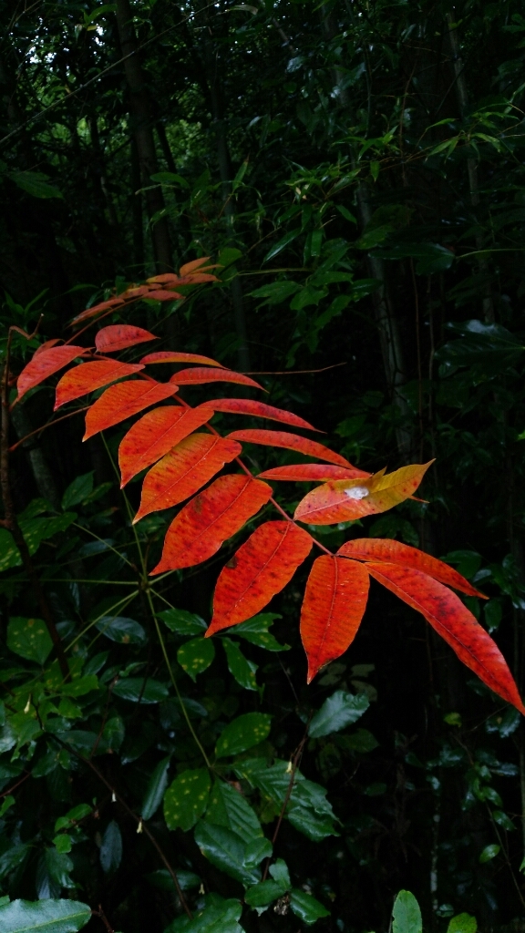 c0016208_09243925.jpg