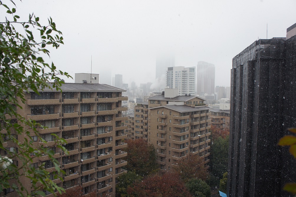 b0112909_13323785.jpg