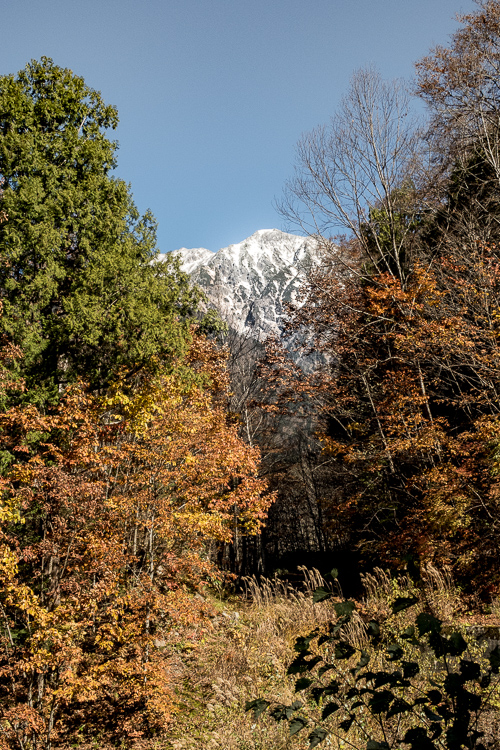 b0244811_2322539.jpg