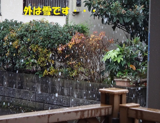 f0121712_09510058.jpg