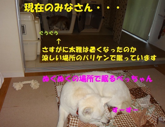 f0121712_10183627.jpg