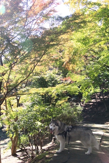 b0207615_14371163.jpg
