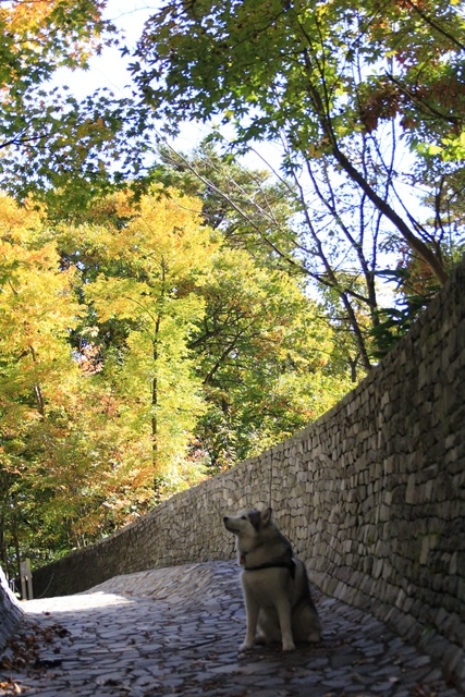 b0207615_21071346.jpg