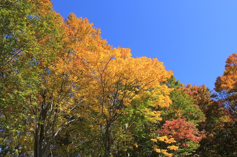 b0207615_22325173.jpg