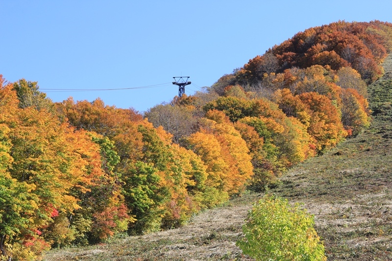 b0207615_22344215.jpg