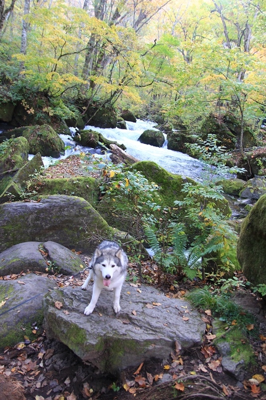 b0207615_22372344.jpg