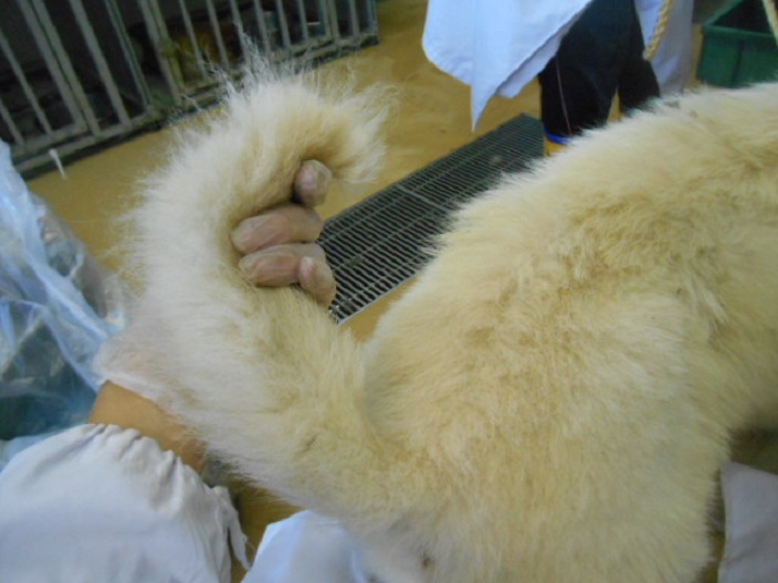f0078320_23373133.jpg