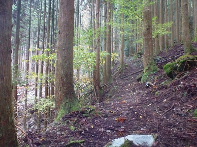 f0193521_3464049.jpg