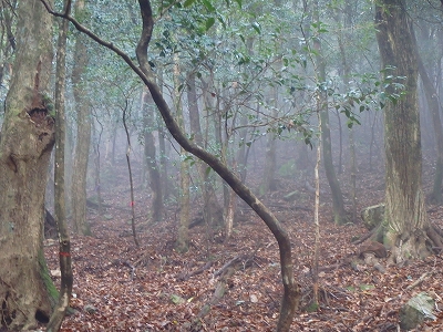 f0193521_3485885.jpg