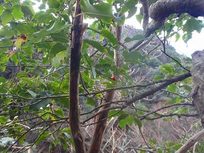 f0193521_3512890.jpg
