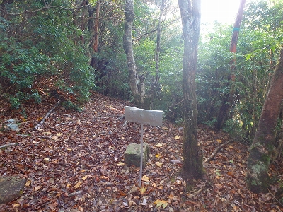 f0193521_3541677.jpg