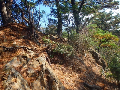 f0193521_356429.jpg