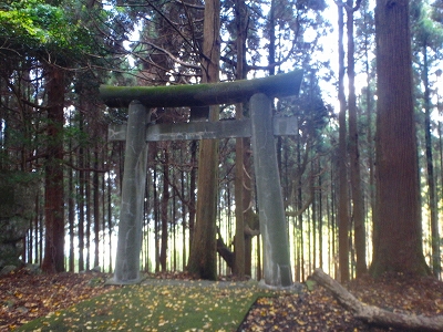f0193521_403933.jpg