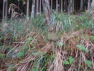 f0193521_423579.jpg