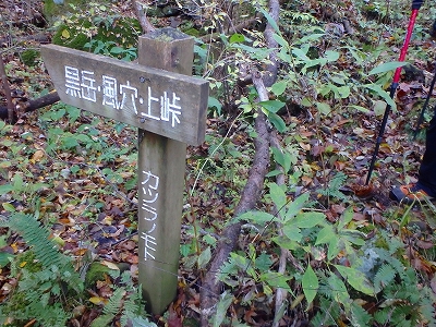 f0193521_425339.jpg