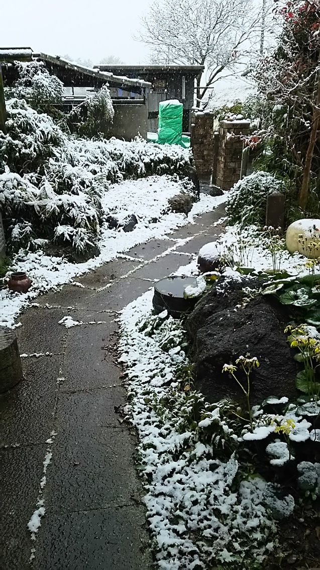 b0037323_16442949.jpg