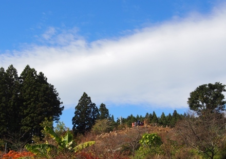 b0185232_21482814.jpg