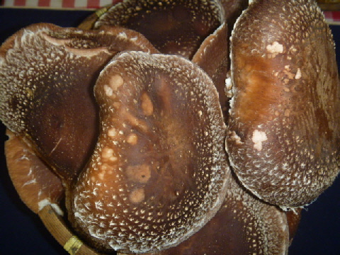 b0246036_15412221.jpg