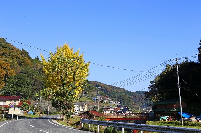 a0242438_20394427.jpg