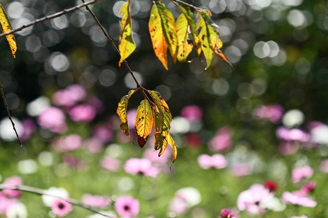 a0242438_20411683.jpg