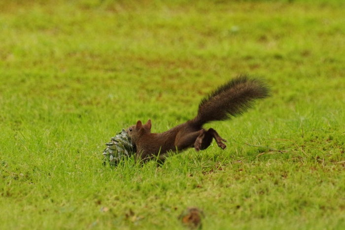 b0247838_10524340.jpg