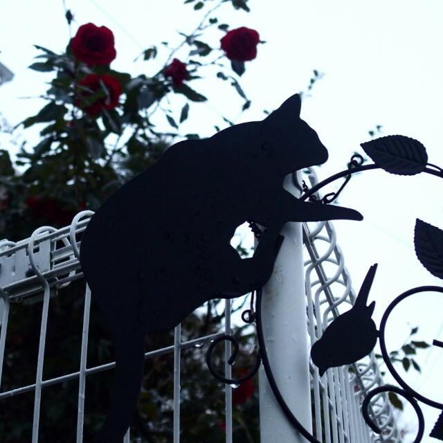 f0360238_16462821.jpg